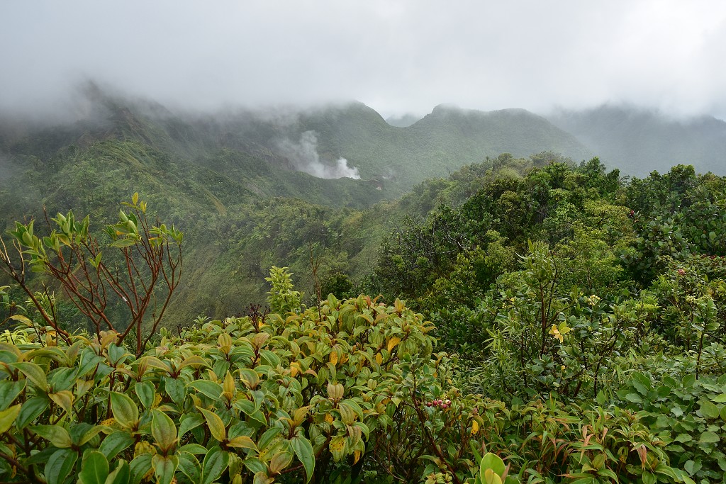 Malé Antily - Dominica - túra k Boiling Lake