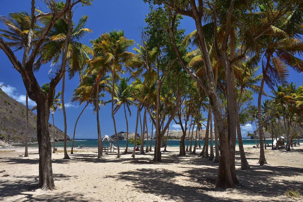 Malé Antily - Les Saintes, ostrov Terre de Haut, zátoka De Pompierre