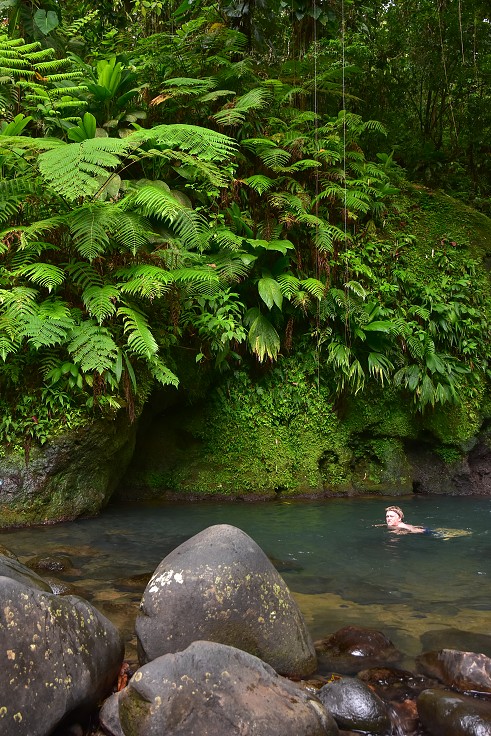 Malé Antily - Guadeloupe, Basse Terre, vdp. Cascade Aux Ecrevisses