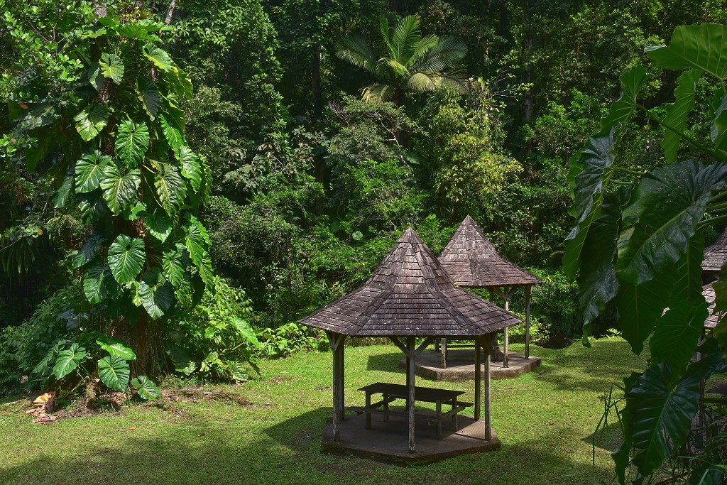 Malé Antily - Guadeloupe - piknikoviště v pralese