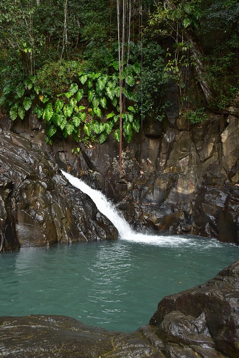 Malé Antily - Guadeloupe,vdp. na ř. Riviere Grande Plaine, již. od Pointe Noire