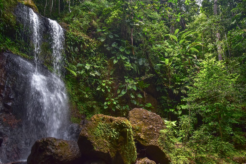 Malé Antily - Guadeloupe, túra v oblasti Sofaia, již. od Sainte-Rose