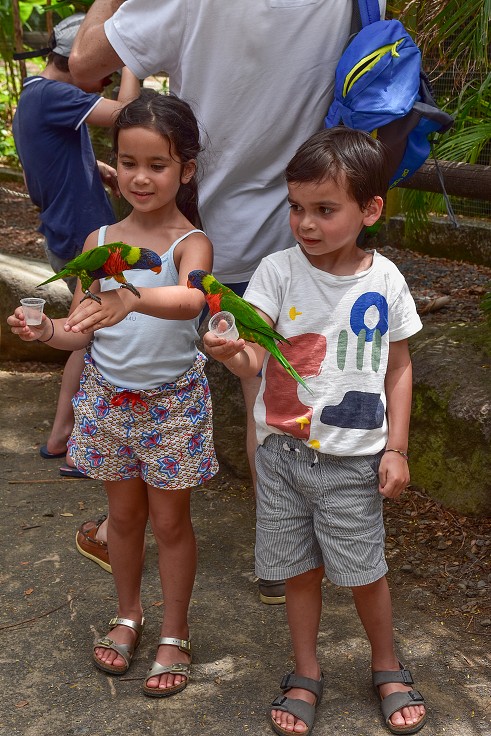 Malé Antily - Guadeloupe, Basse Terre, botanická zahr. v Deshaies