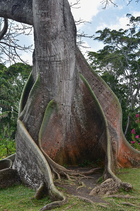 Malé Antily - Guadeloupe, Basse Terre, botanická zahr. v Deshaies