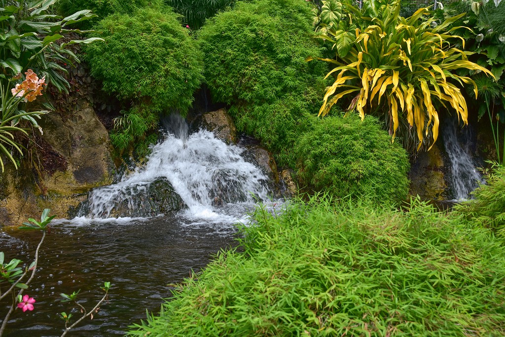 Malé Antily - Guadeloupe, Basse Terre, botanická zahr. v Deshaies