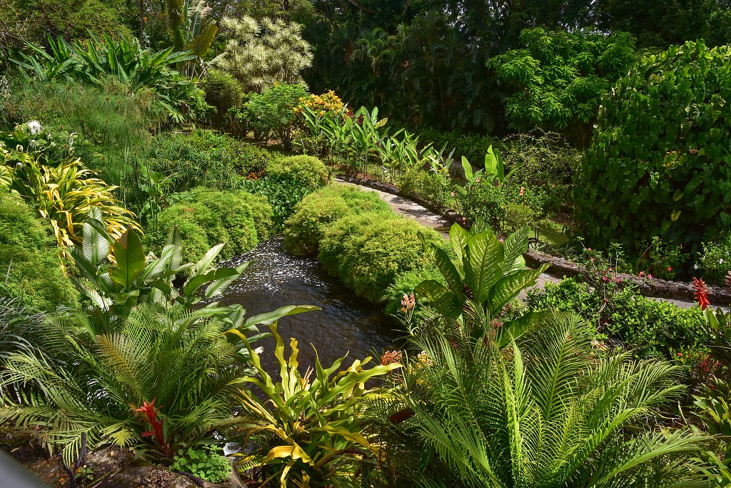 Malé Antily - Guadeloupe, Basse Terre, botanická zahr. v Deshaies