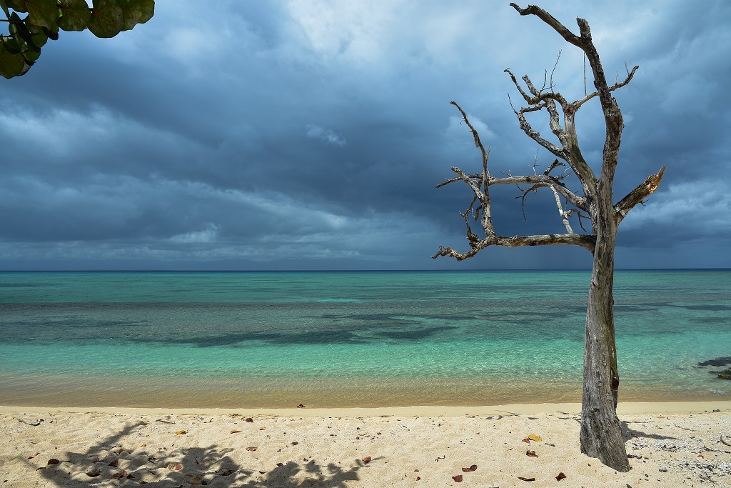 Malé Antily - Guadeloupe, Grande Terre, u Port Louis