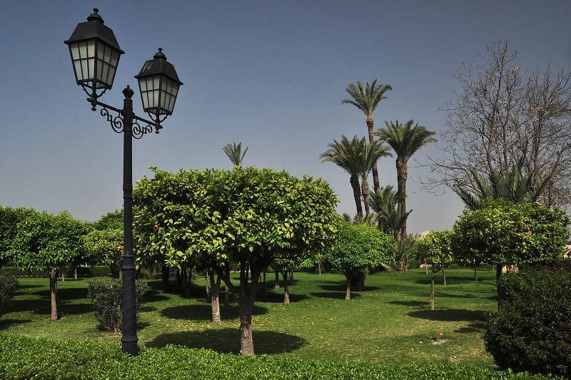 Maroko - Marrákeš - zahrady Koutoubia 