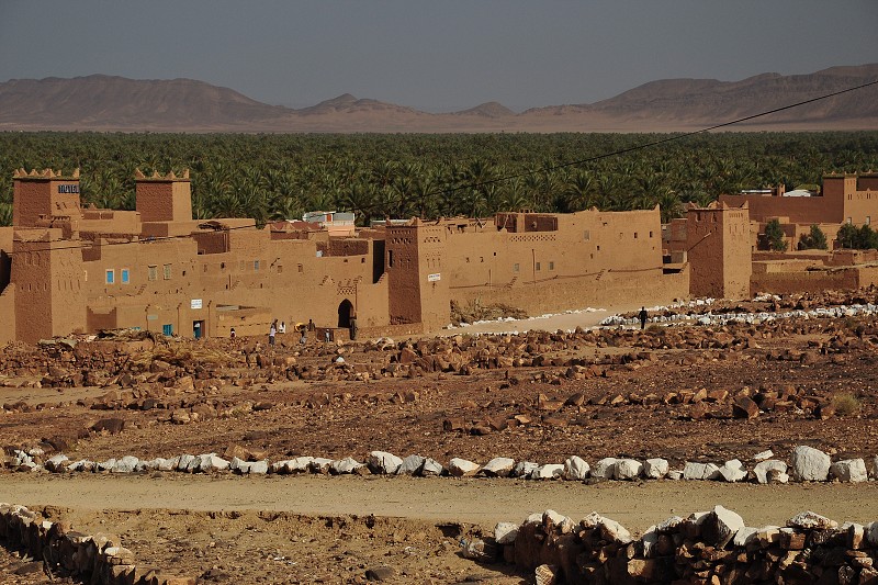 Maroko - palmérie v Vallée du Dráa 