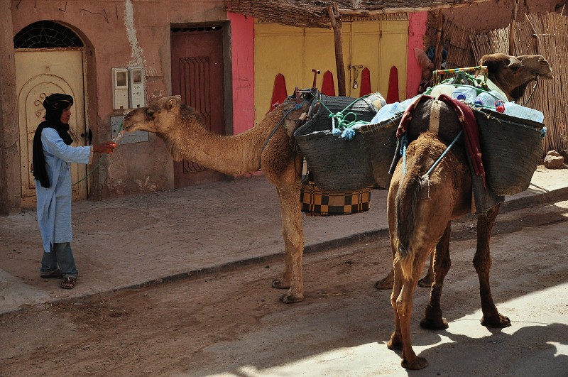 Maroko - městečko Tagounite, okraj Sahary 