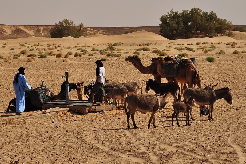 Maroko - Sahara - mezi městem Tagounite a dunami Chegaga 