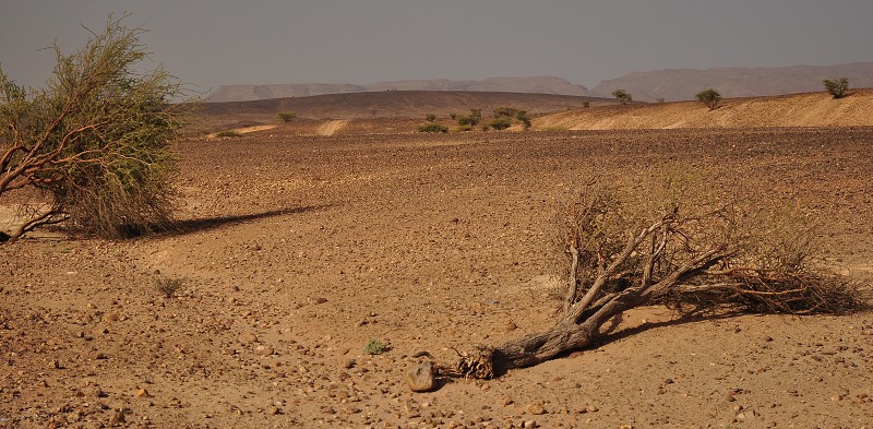 Maroko - Sahara - mezi městem Tagounite a dunami Chegaga 