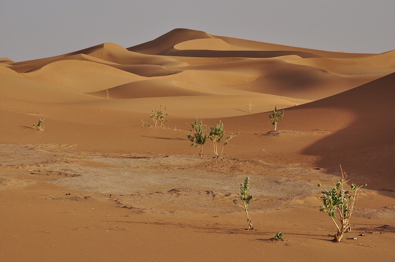 Maroko - Sahara - duny Chegaga  