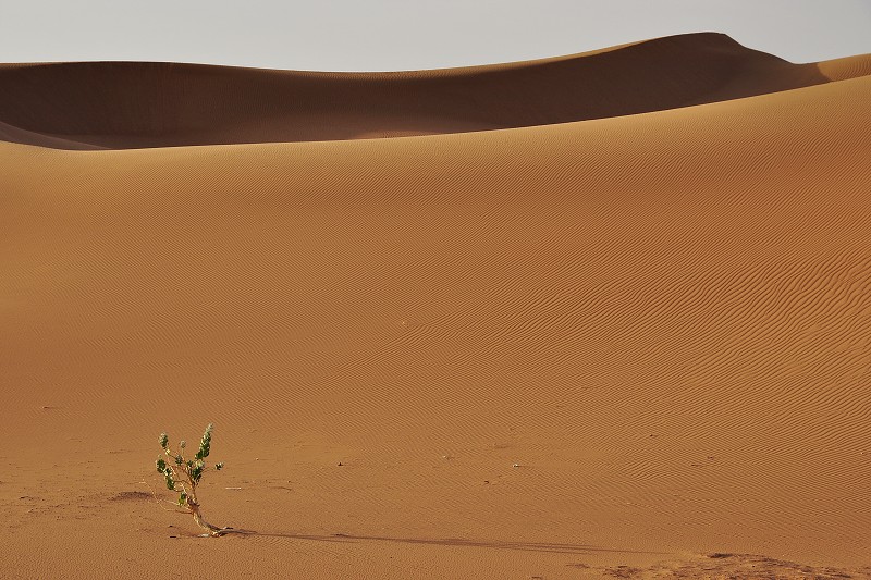 Maroko - Sahara - duny Chegaga  
