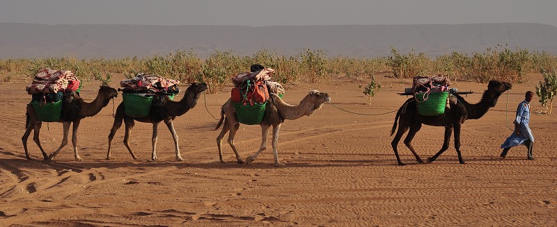 Maroko - Sahara - duny Chegaga  
