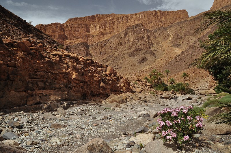 Maroko - pěší túra údolím nad vsí Aguelliz 