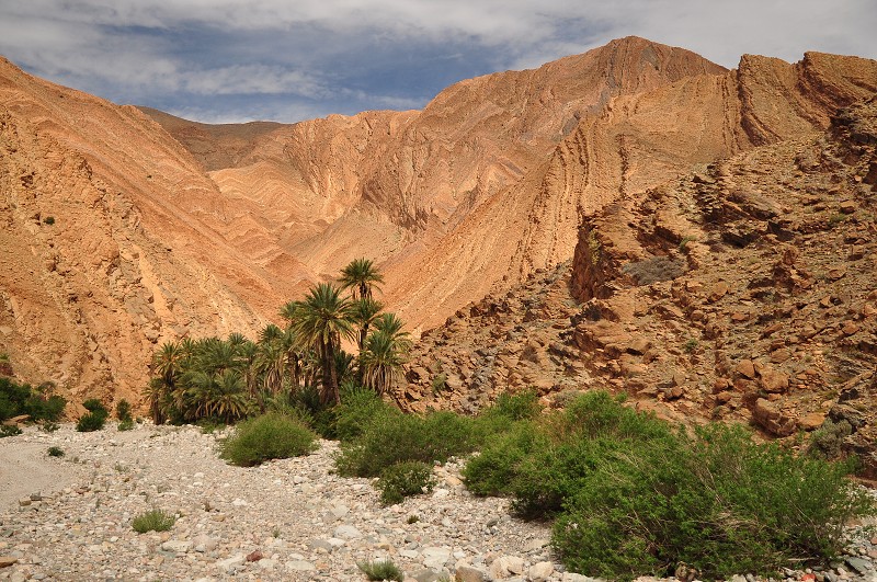 Maroko - horské údolí za Tazegzaoute, Antiatlas 