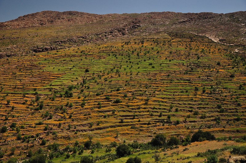Maroko - vnitrozemím mezi Ighermem a Agadirem, Antiatlas 
