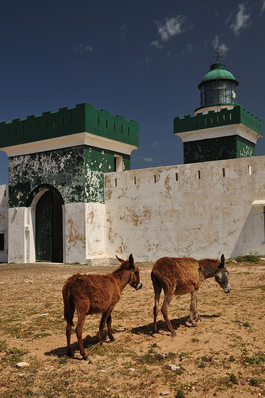 Maroko - franc. maják z r. 1916, jižně od El Jadidy 