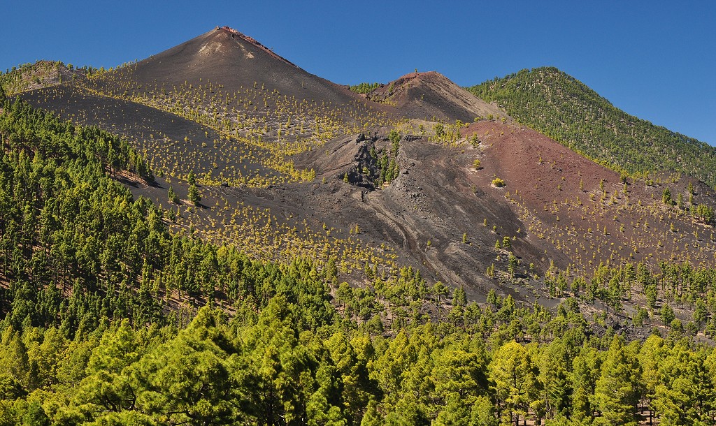 La Palma - Kanáry 2015 - Volcán Martín, hřeben Cumbre Vieja 