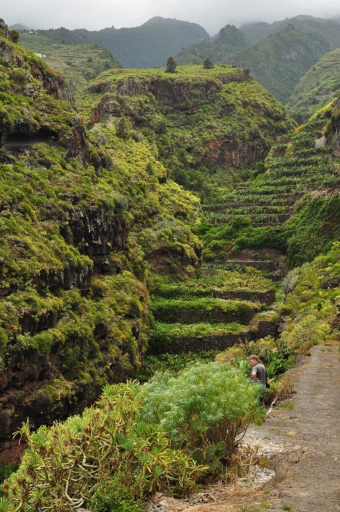 La Palma - Kanáry 2015 - jižně od San Andrés 