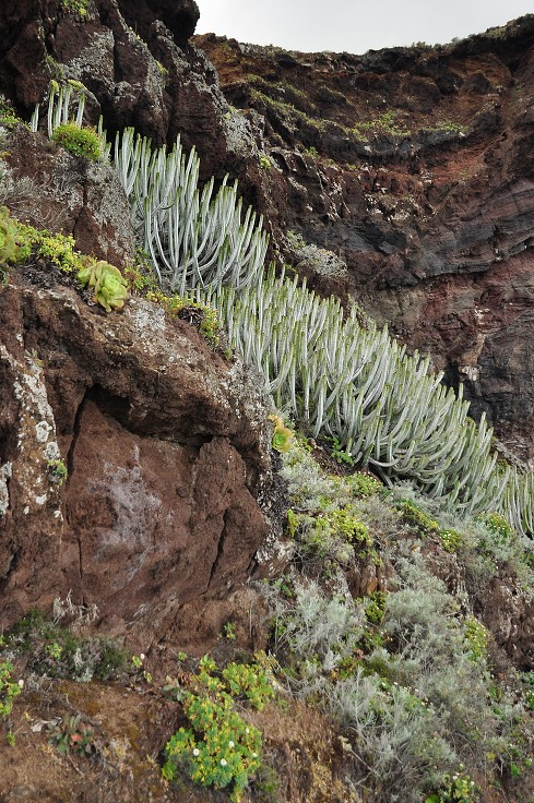 La Palma - Kanáry 2015 - u  Cueva del Infierno 