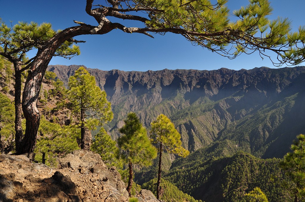La Palma - Kanáry 2015 - výstup na Pico Bejenado nad kalderou de Taburiente 