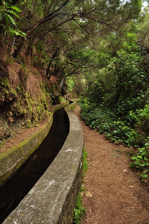 La Palma - Kanáry 2015 - rezervace Los Tilos 