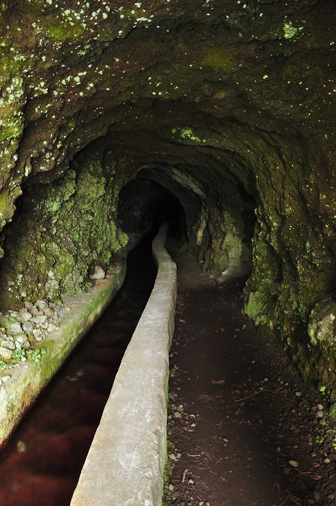 La Palma - Kanáry 2015 - rezervace Los Tilos 