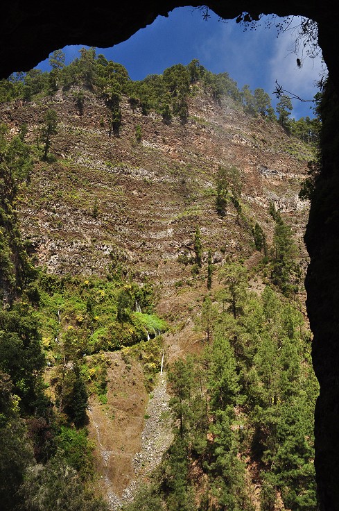 La Palma - Kanáry 2015 - rezervace Los Tilos 