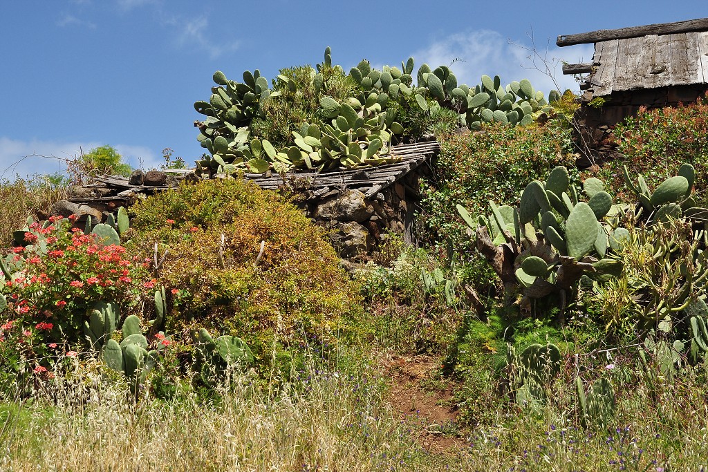 La Palma - Kanáry 2015 - Santo Domingo de Garafía 