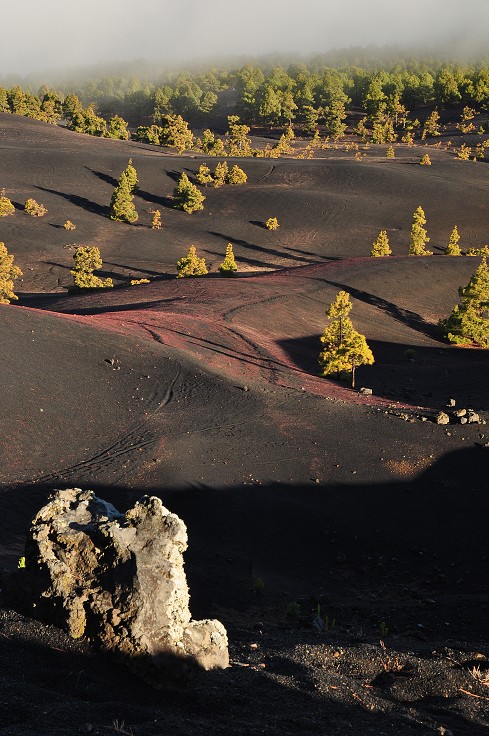 La Palma - Kanáry 2015 - Mirador de los Llanos del Jable 