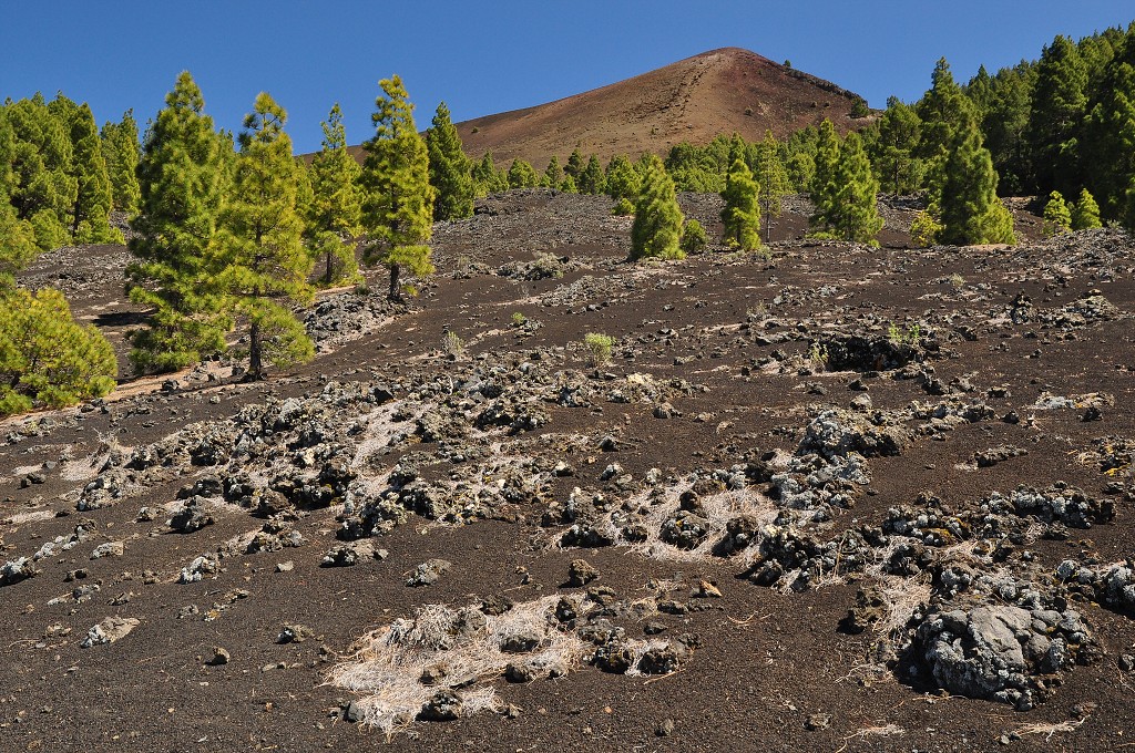 La Palma - Kanáry 2015 - Volcán de San Juan, Cumbre Vieja 
