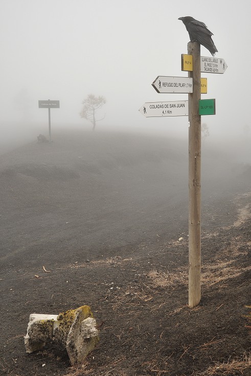 La Palma - Kanáry 2015 - mlha v lávovištích u Montaňa de Enrique 