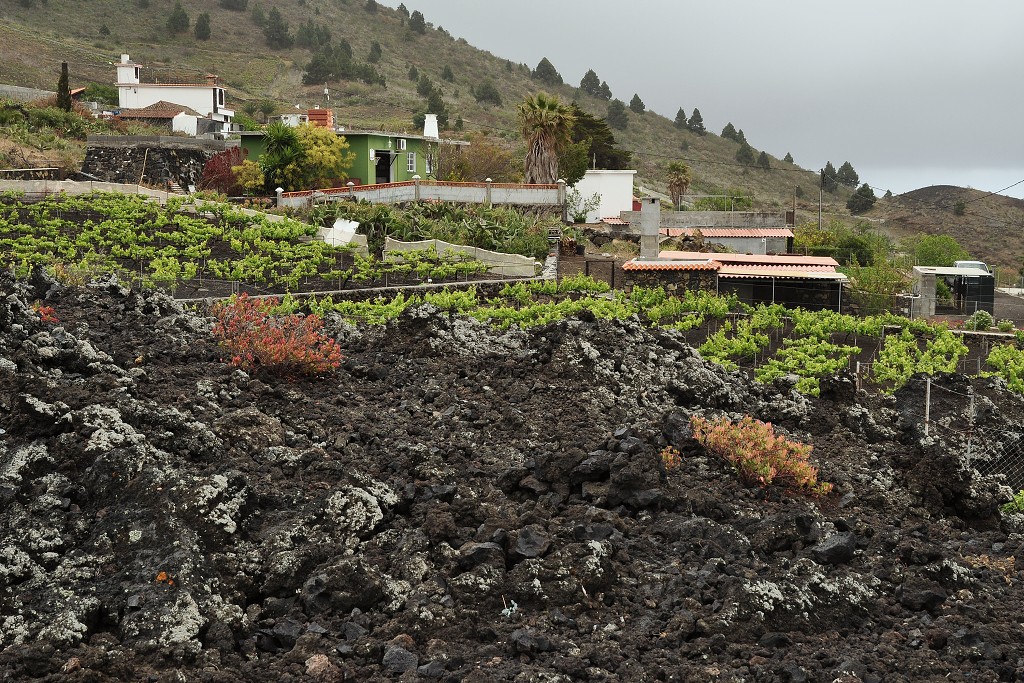 La Palma - Kanáry 2015 -  lávoviště z 1949, San Nicolas 