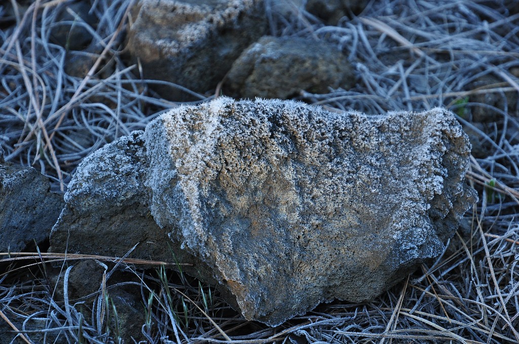 La Palma - Kanáry 2015 - ranní jinovatka pod Pico Birigoyo 
