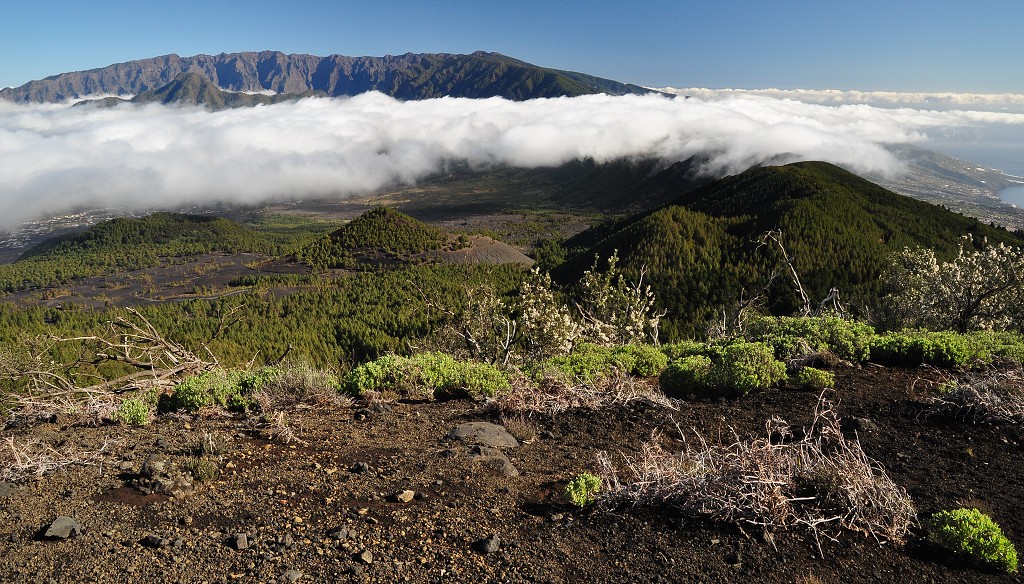 La Palma - Kanáry 2015 - hřeben kaldery z úbočí Pico Birigoyo 