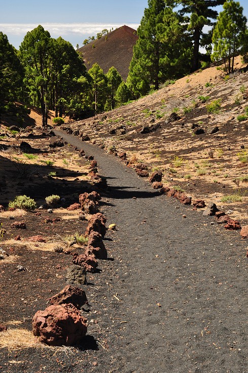 La Palma - Kanáry 2015 - Cumbre Vieja v okolí Volcánu Cabrito 