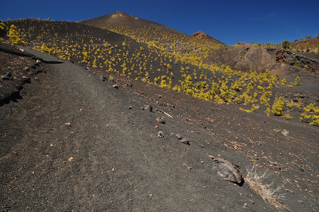 La Palma - Kanáry 2015 - Volcán Martín, hřeben Cumbre Vieja 