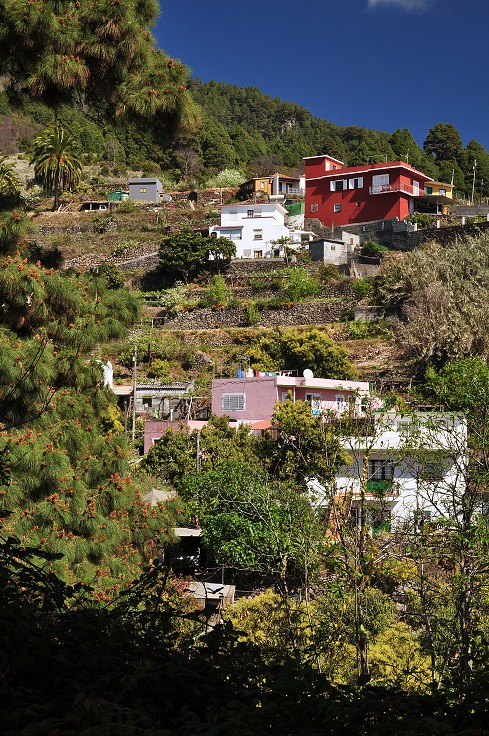 La Palma - Kanáry 2015 - výlet úbočím hor nad Santa Cruz 