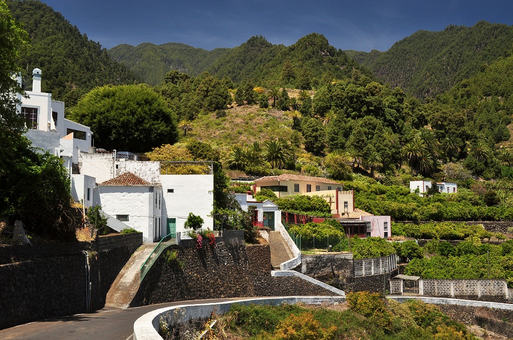 La Palma - Kanáry 2015 - Las Nieves, v kopcích nad Santa Cruz 