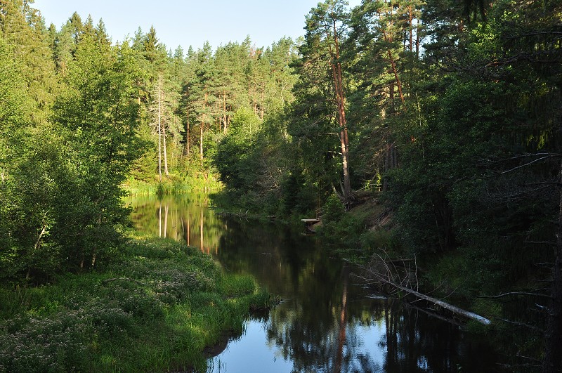 Pobaltí 2014 - řeka Valgejogi, n.p. Lahemaa, Estonsko 