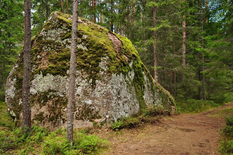 Pobaltí 2014 - bludné balvany u Altji,  Lahemaa, Estonsko 