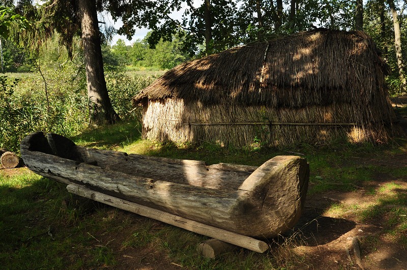 Pobaltí 2014 - rekonstukce prehist. osídlení u Araiši, Lotyšsko 