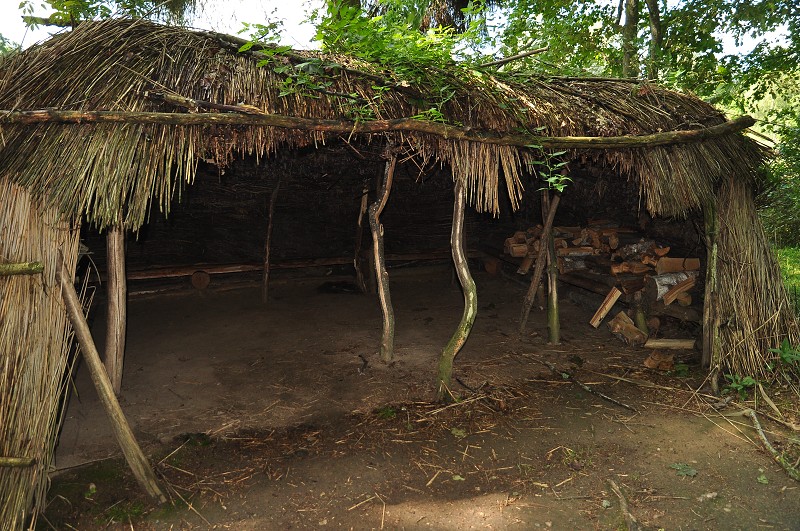 Pobaltí 2014 - rekonstukce prehist. osídlení u Araiši, Lotyšsko 