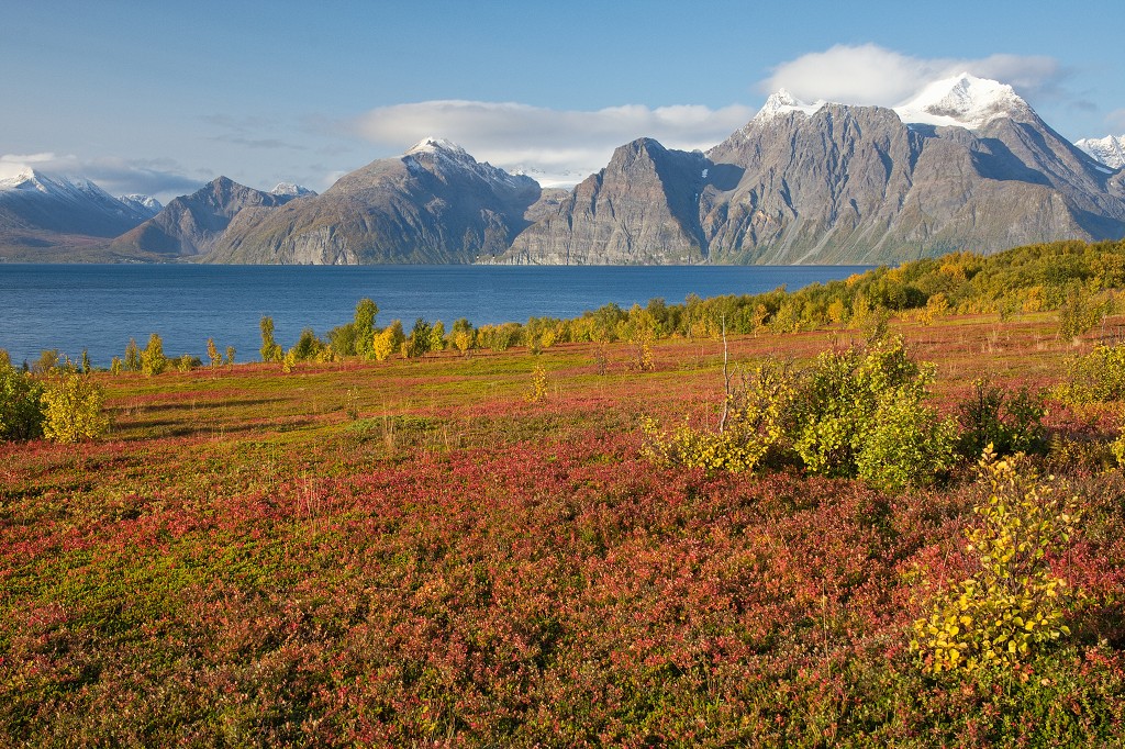 Finsko - Norsko - Švédsko - září 2023