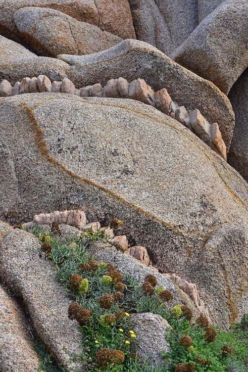 Sardinie - Capo Testa 