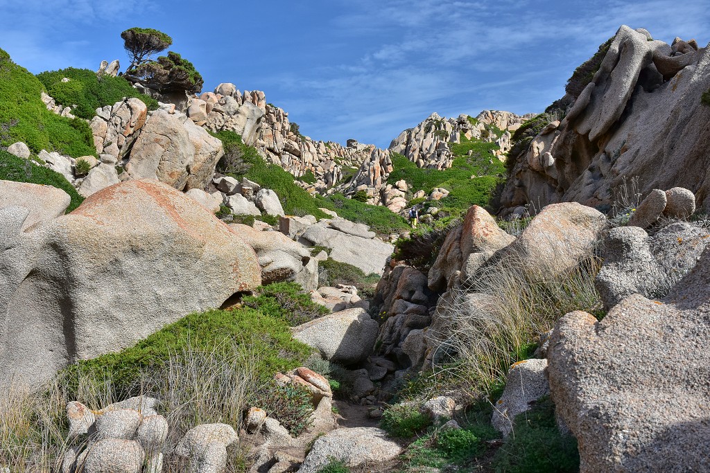 Sardinie - Capo Testa 