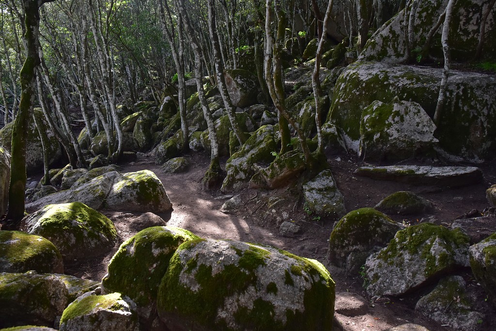 Sardinie - Aggius, u jezírka Lago Santa Degna 