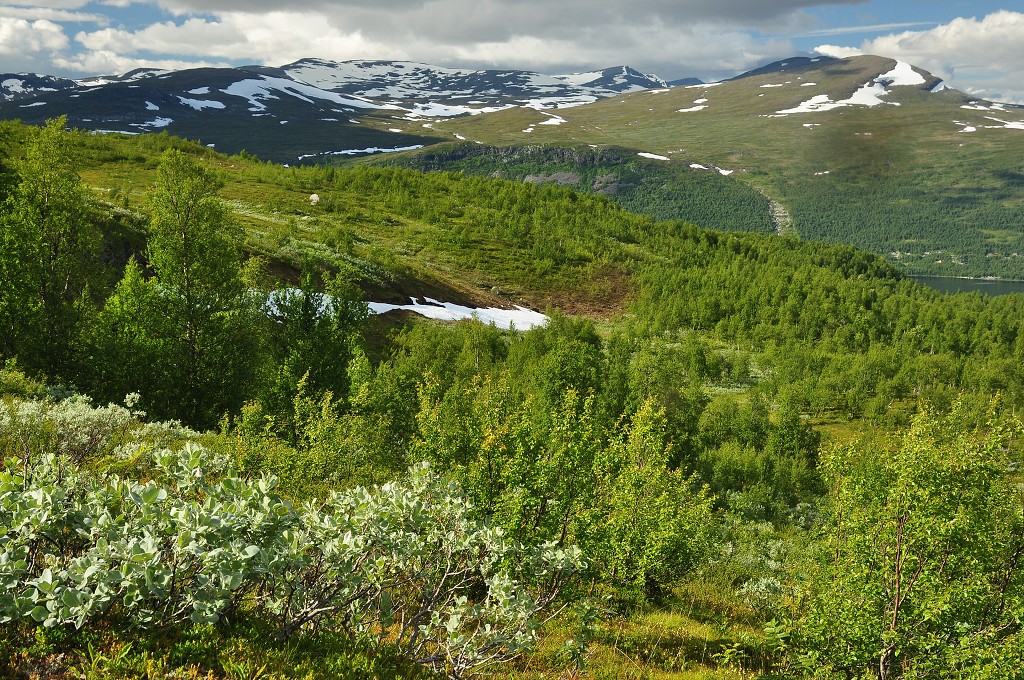 Skandinávie - masiv Laxfjället nad Tärnaby, Švédsko